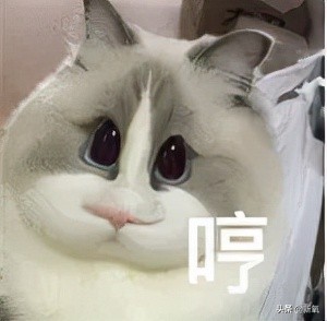 一个人变老的四种表现,一个人的年龄在脸上能不能看出来