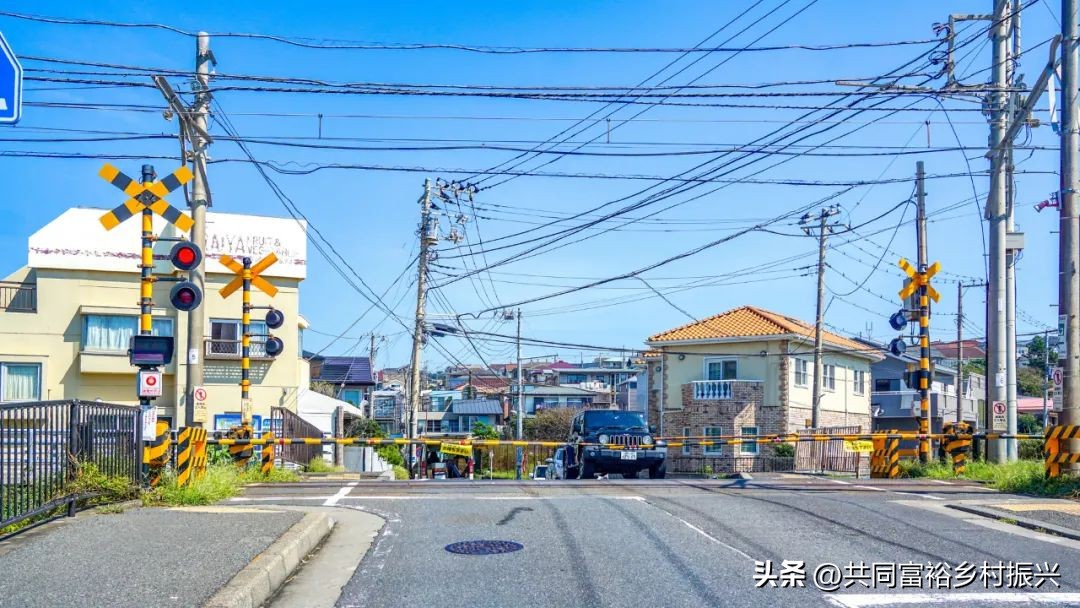 以数字经济助力乡村产业振兴案例,基层党建引领乡村振兴主要案例