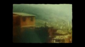 世界杯惨案1994,1994世界杯惨案