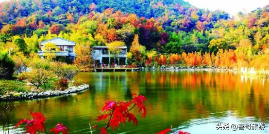 台州路桥自驾游推荐景点,浙江台州路桥有哪些游玩的地方