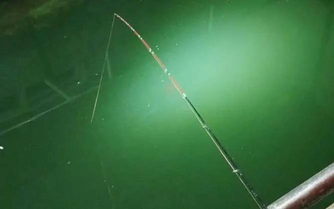 桥筏钓鱼入门教学完整版,桥筏钓鱼基础入门及技巧