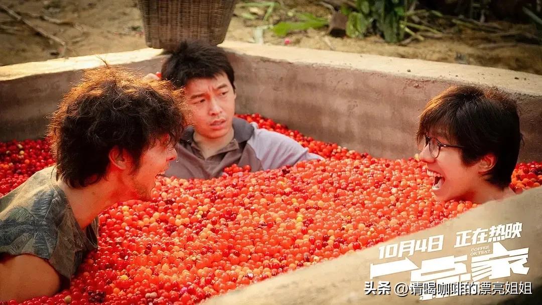 云南天皓庄园,云南天皓咖啡豆