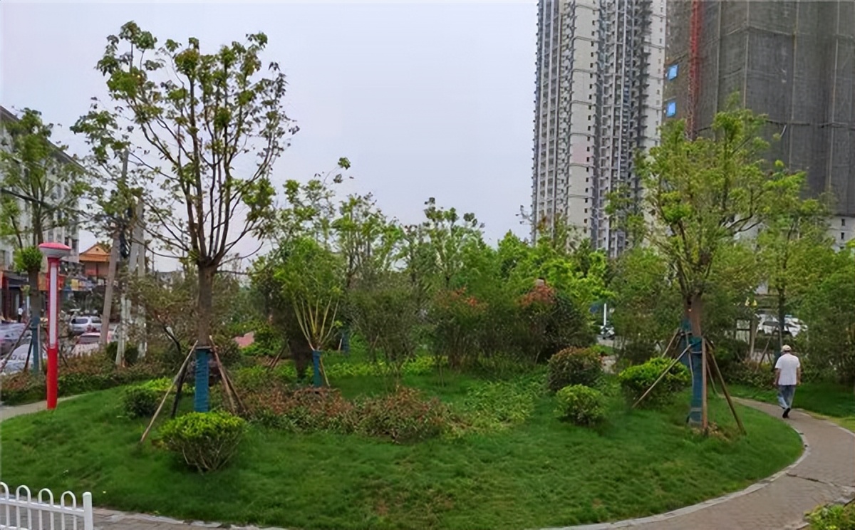 第一次举报，我竟然像做了贼一样惶恐不安