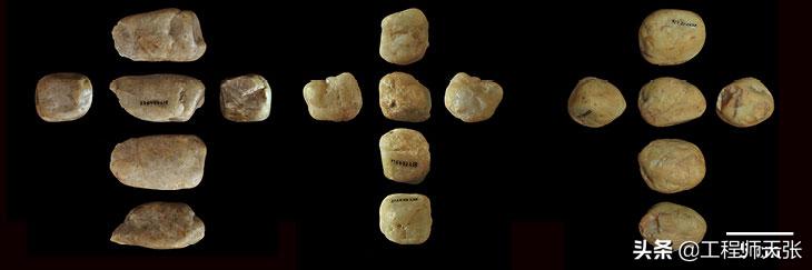 奇特长相的猴子,最像人脸的猴子