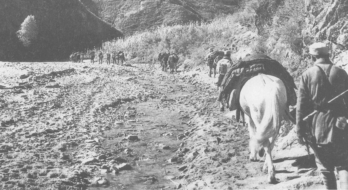千里跃进大别山纪念馆,千里跃进大别山和中原突围