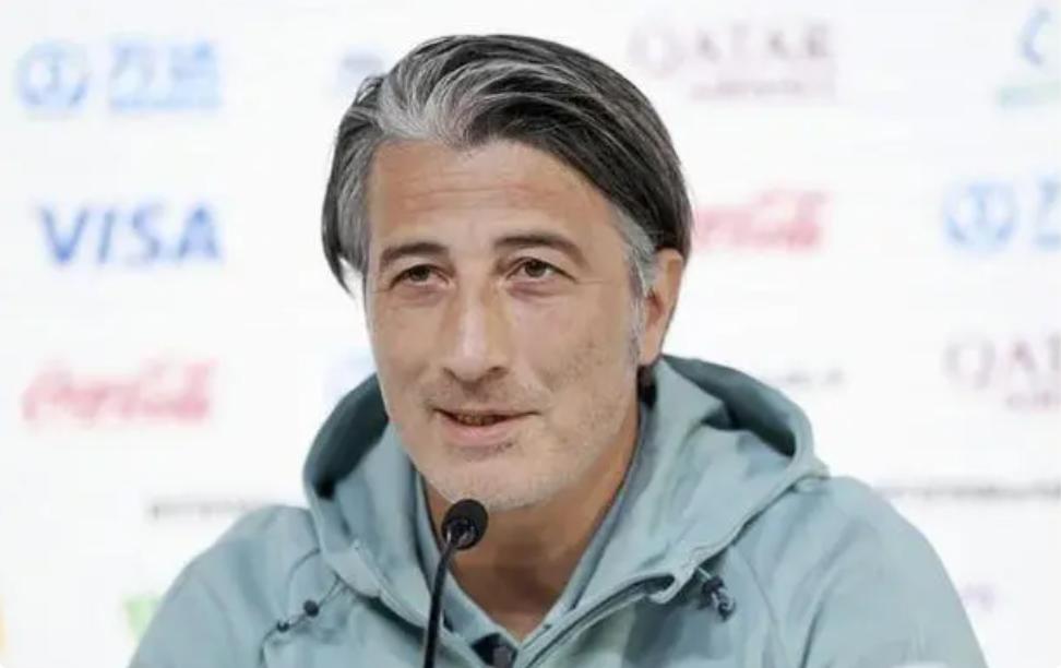 世界杯深度分析瑞士,世界杯德国遭日本队逆转