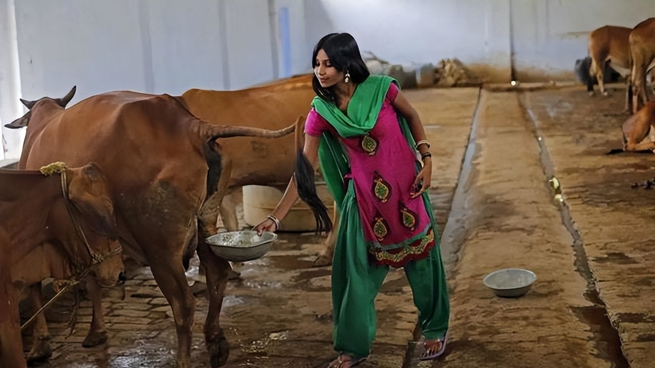 印度芯片为什么发展这么快,印度芯片和中国芯片