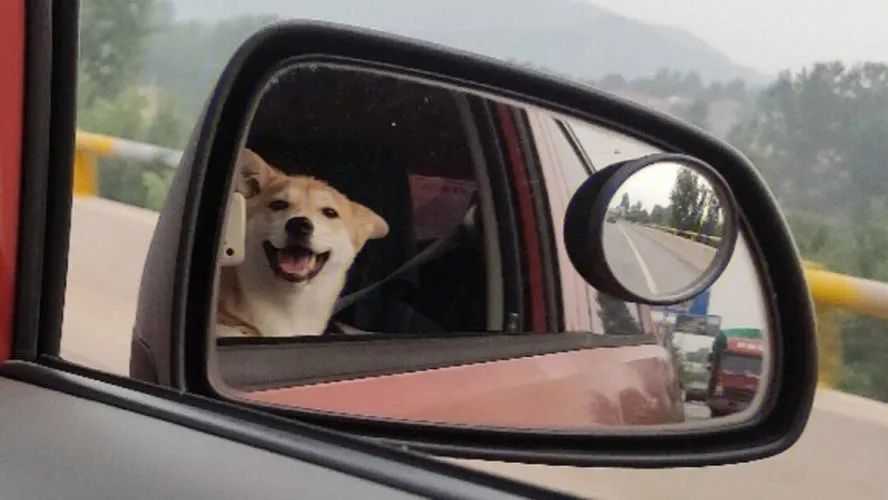 新国标可以不装后视镜吗,新国标传统后视镜