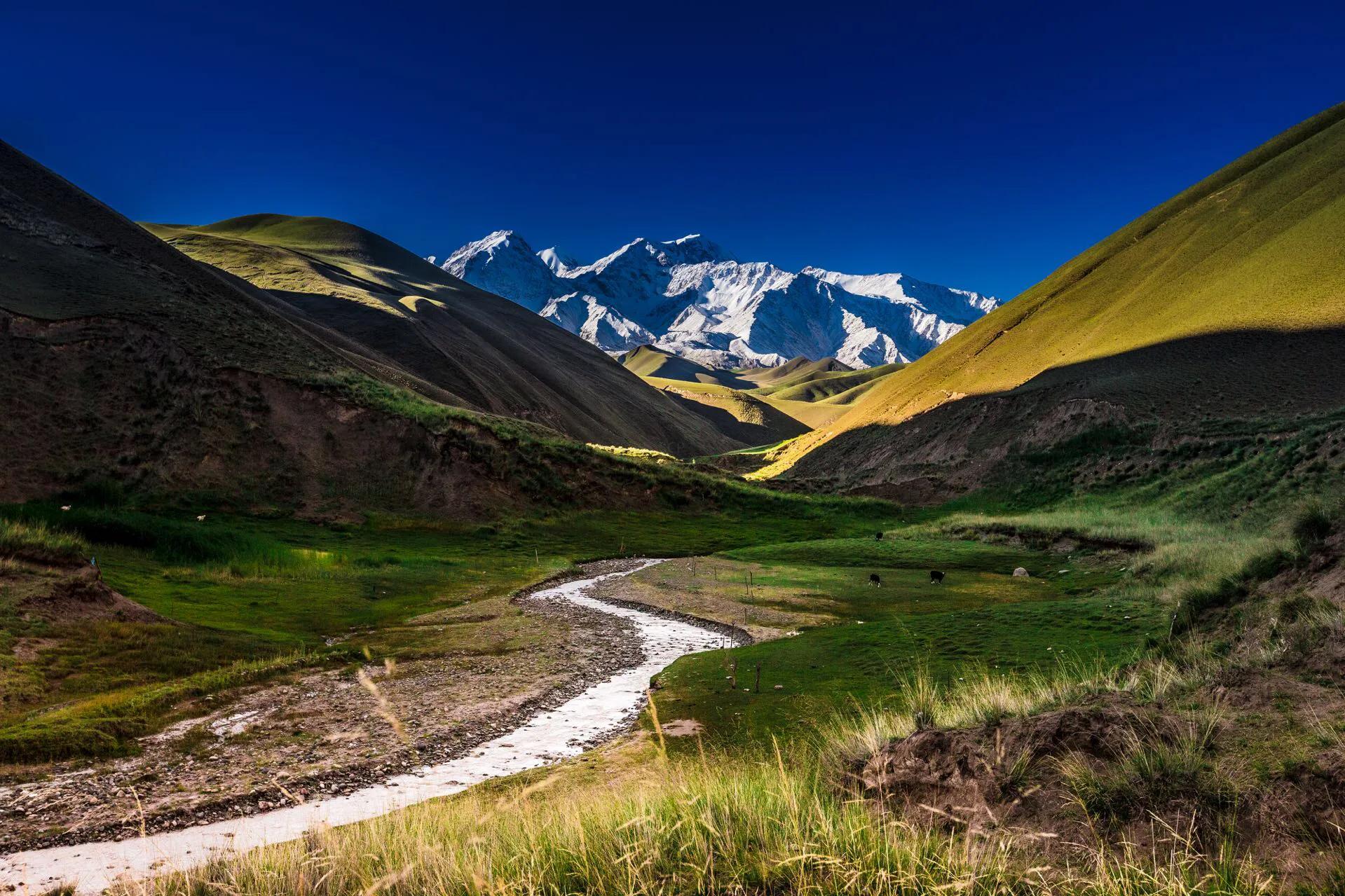 全国快递包邮为什么新疆不包邮,为什么快递发新疆不包邮
