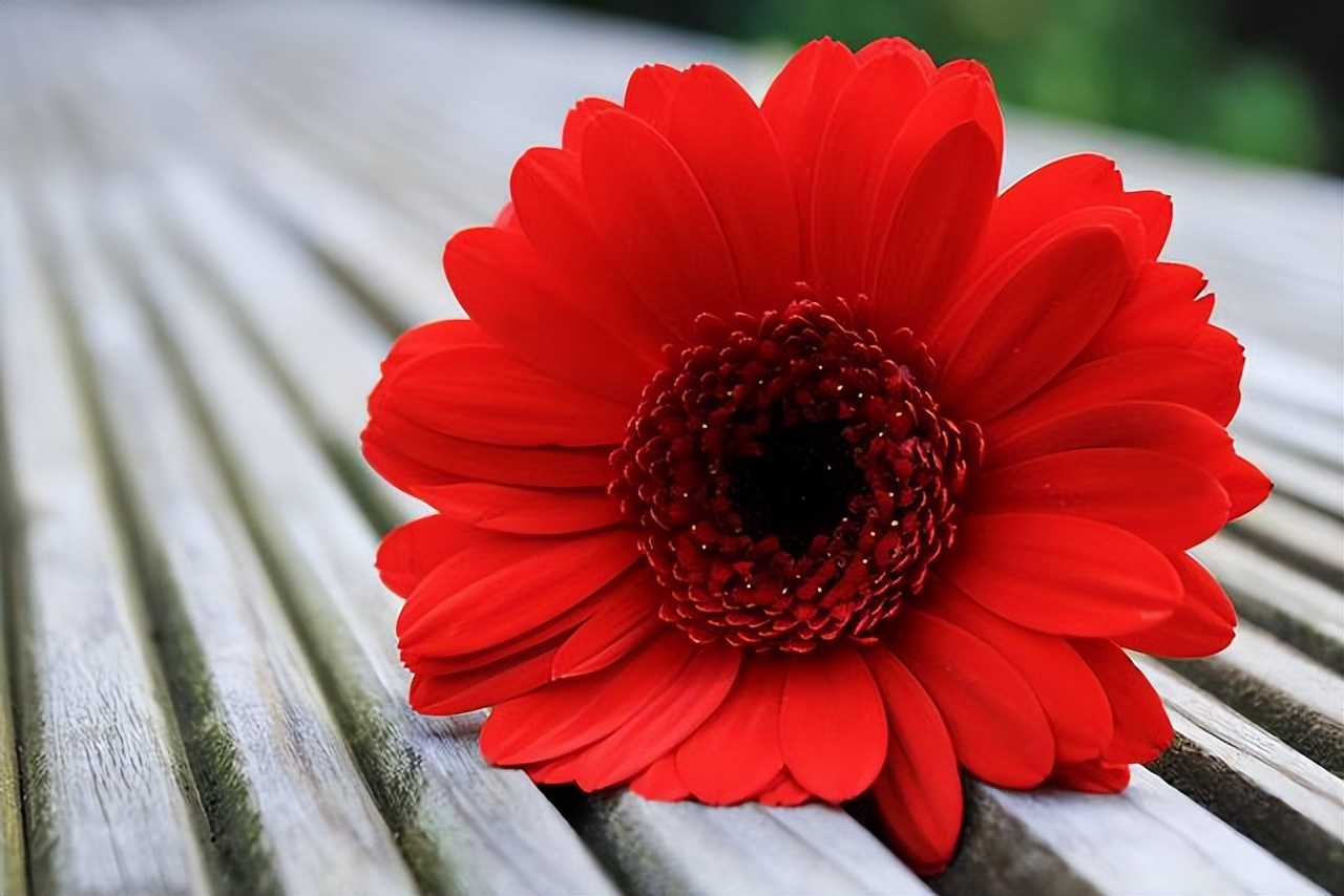 微信朋友不想联系了怎么处理,不想联系的人就算了吧