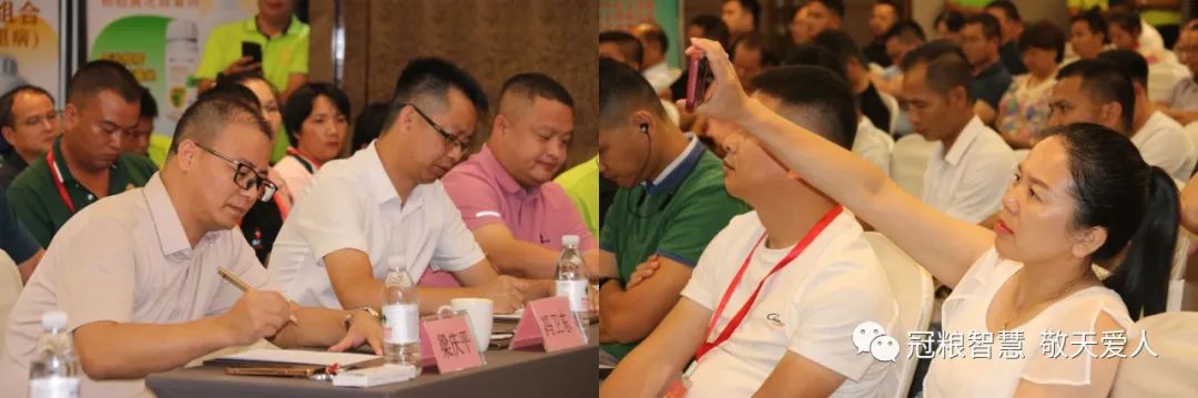 柑橘黄龙病防控工作总结,柑橘黄龙病绿色防控技术