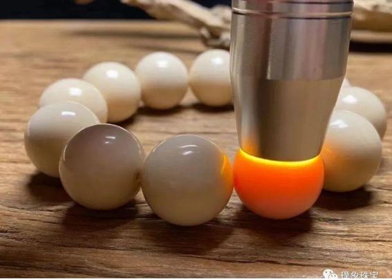 猛犸象牙找寻,象牙与猛犸象牙的区分图