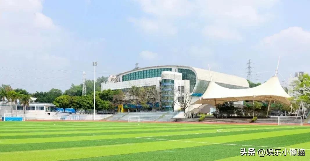 深职是全国最好的大专吗,深职专科排名