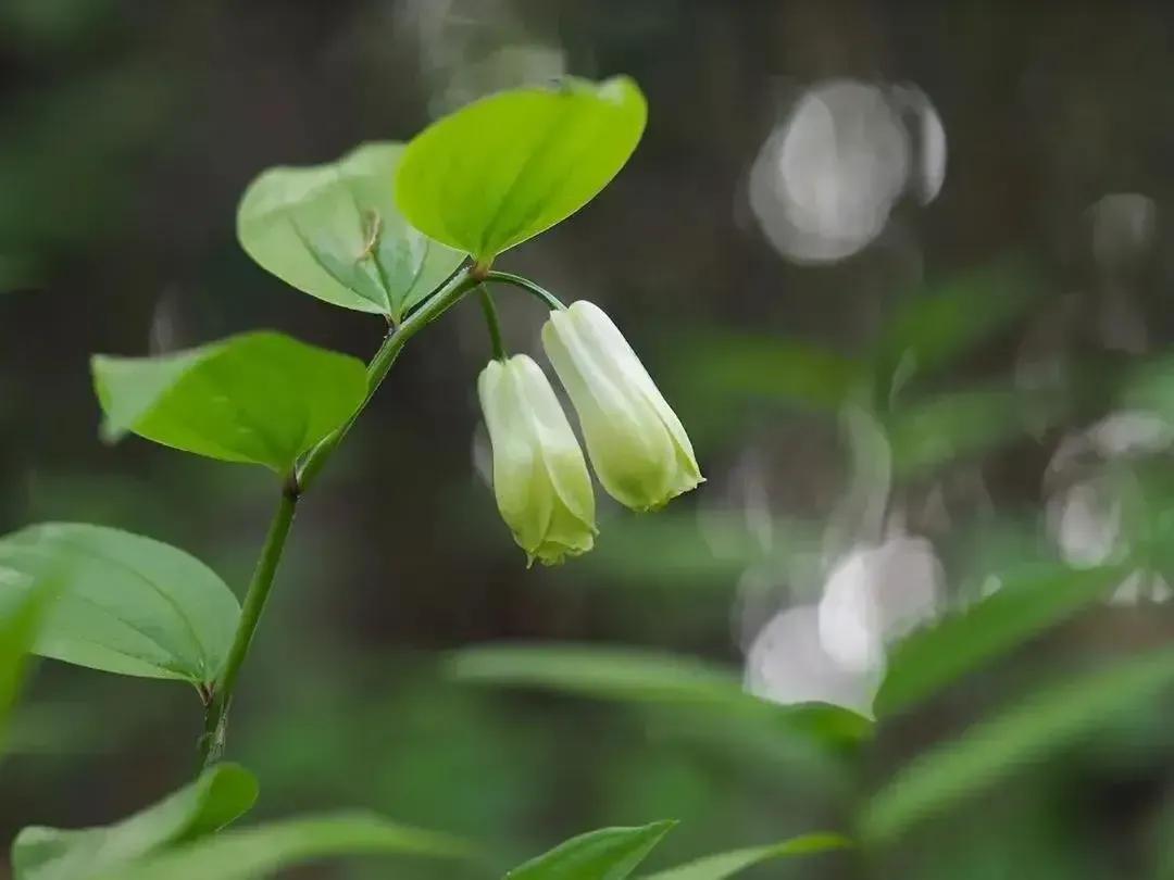 时光荏苒岁月如梭莫要蹉跎岁月,时光荏苒岁月如梭的唯美句子