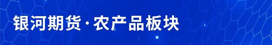 ice美棉,今日美棉花期货最新消息