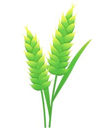 中润资本分析,中润资本投资靠谱吗