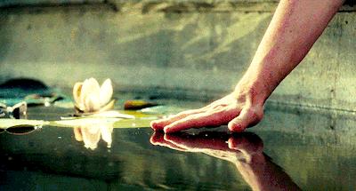 lv历年限定系列,lv这个衣服怎么样