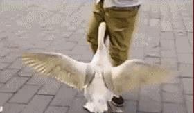 怎样把短粗的手指变又细又长,教你一秒让手指变细