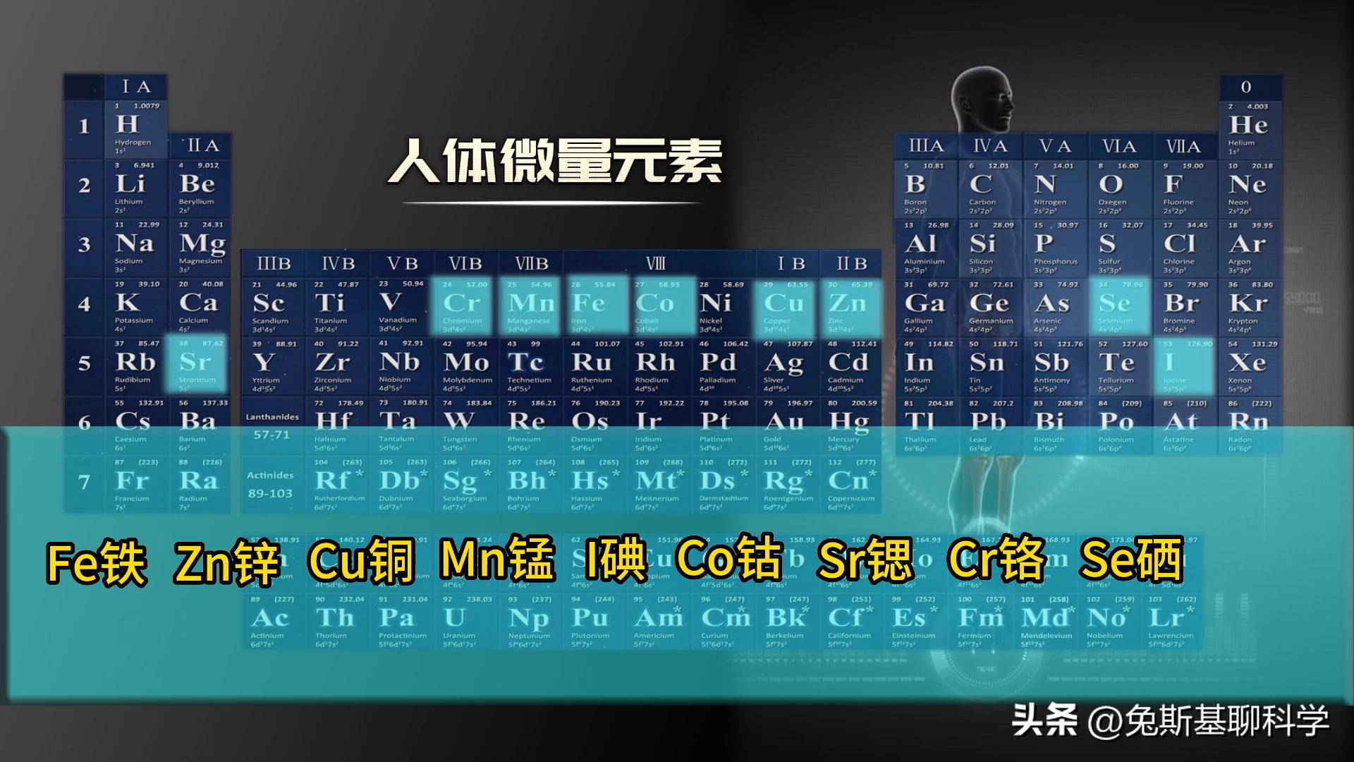 地球有94种化学元素，人类身体用了60多种，造一个人要花多少钱？