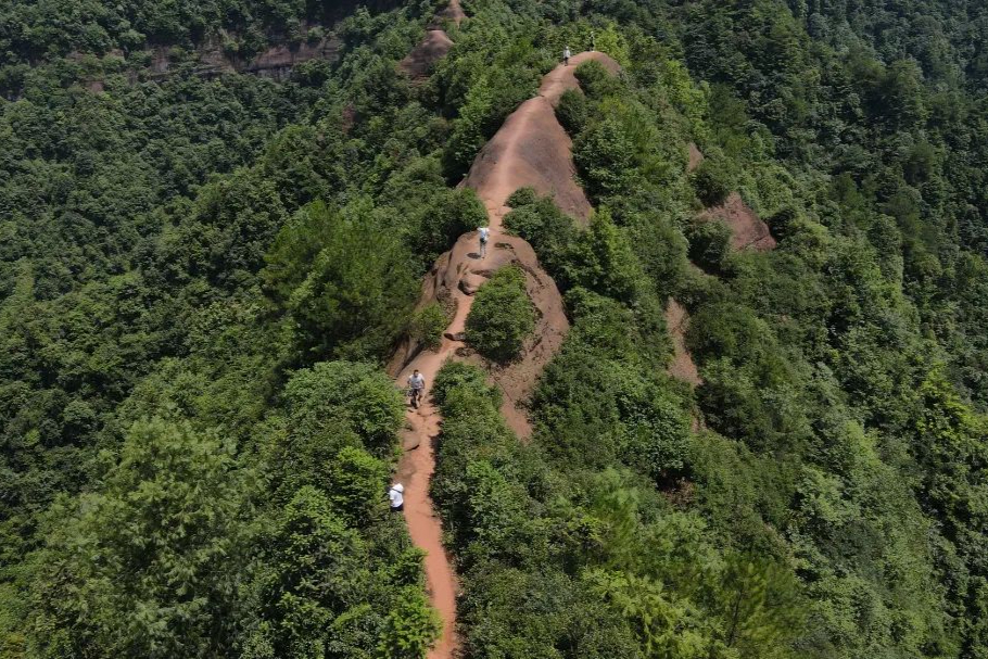 夏季重庆周边避暑,重庆附近避暑旅游2-3天推荐地方