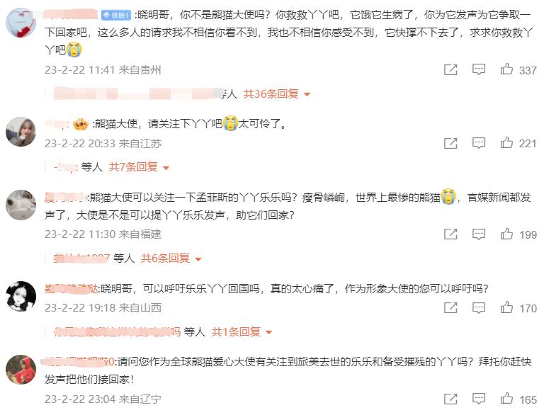 多位明星为国宝丫丫发声！黄晓明惹争议，身为熊猫大使出面太晚