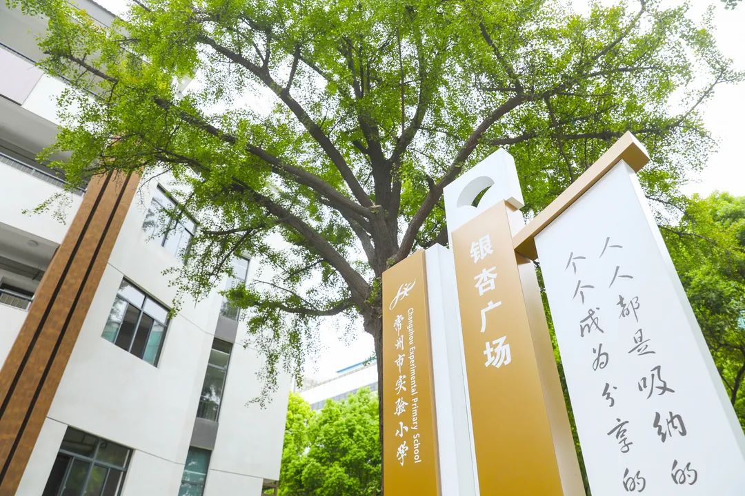 探校！常州市田家炳初级中学、常州市实验小学焕新归来