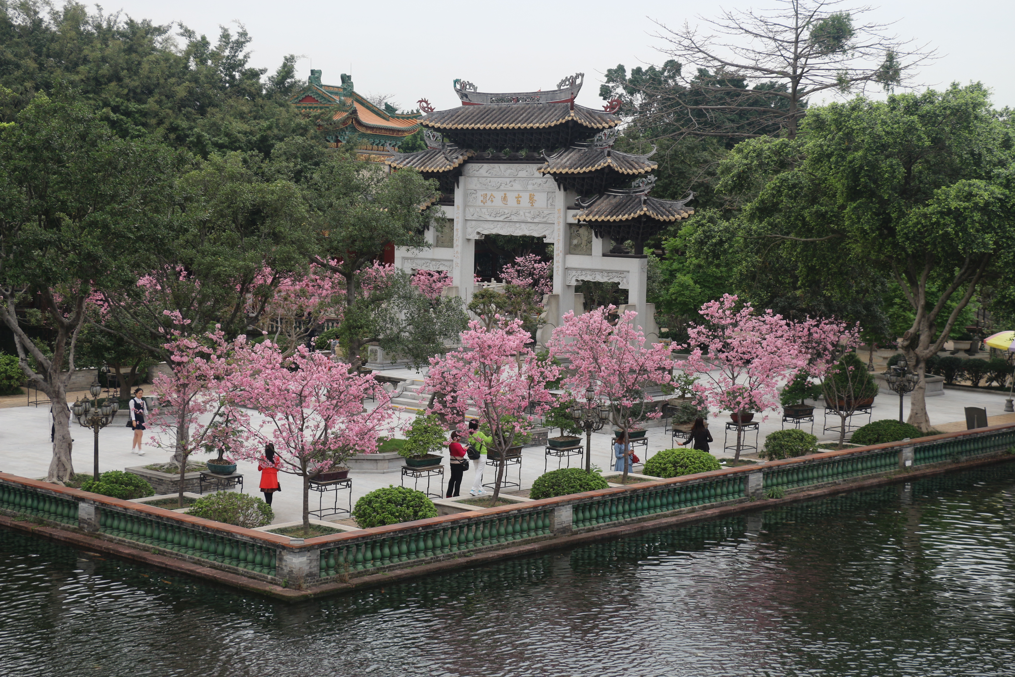 岭南文化之旅照片,岭南文化之旅在哪里