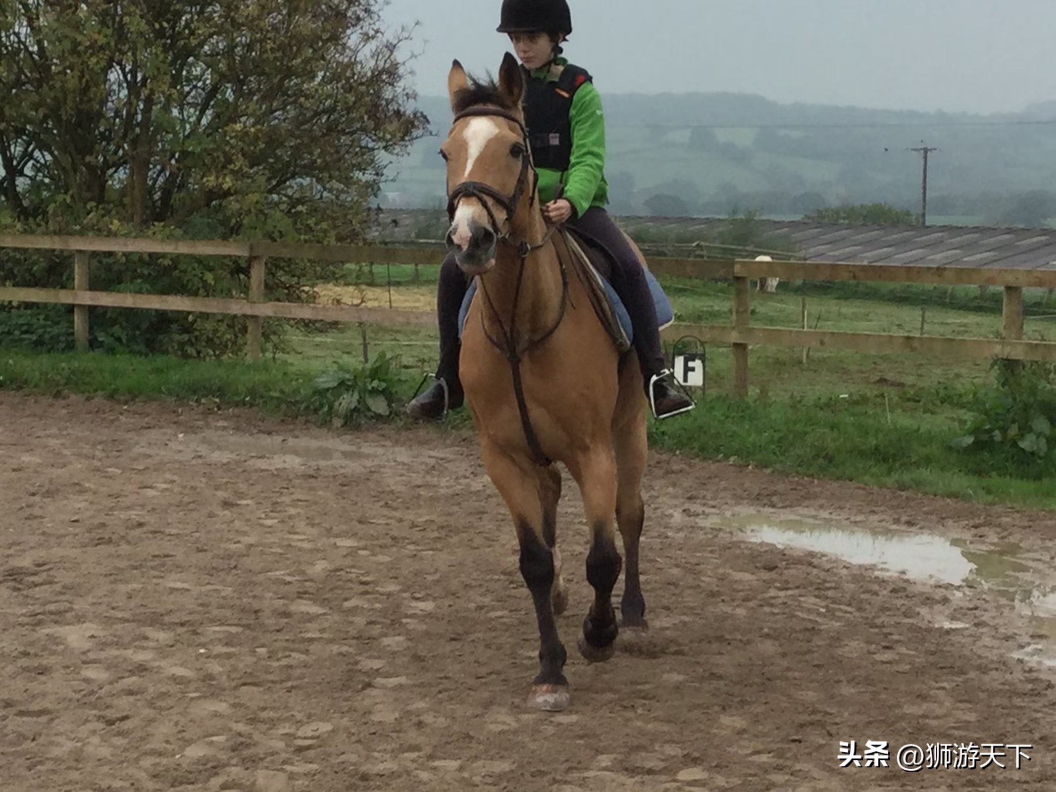 英国陪读活动,英国陪读的日常