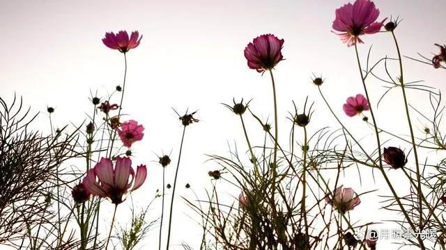 网上申请信用卡安全吗,怎么安全办理信用卡