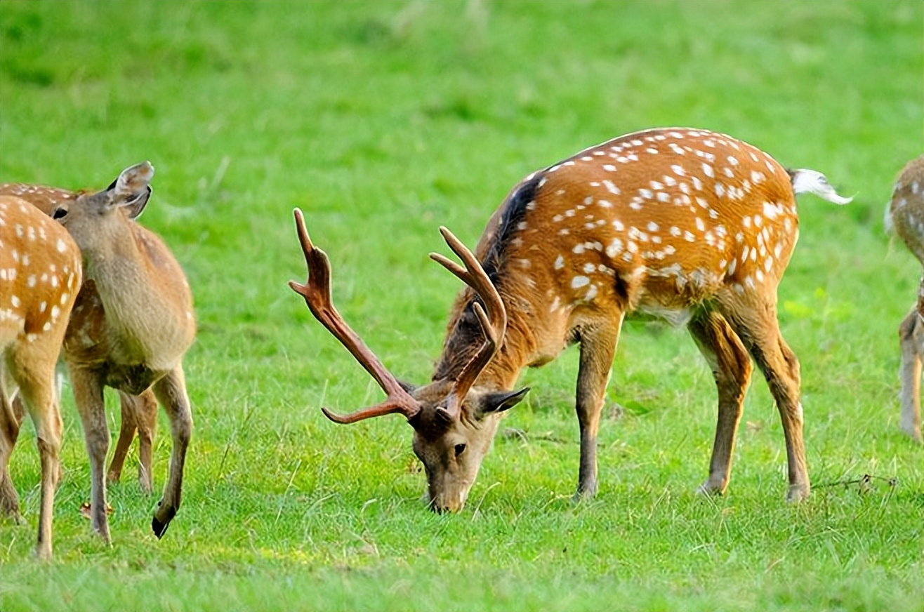 定西附近烧烤露营地推荐,新疆自驾游定西露营地