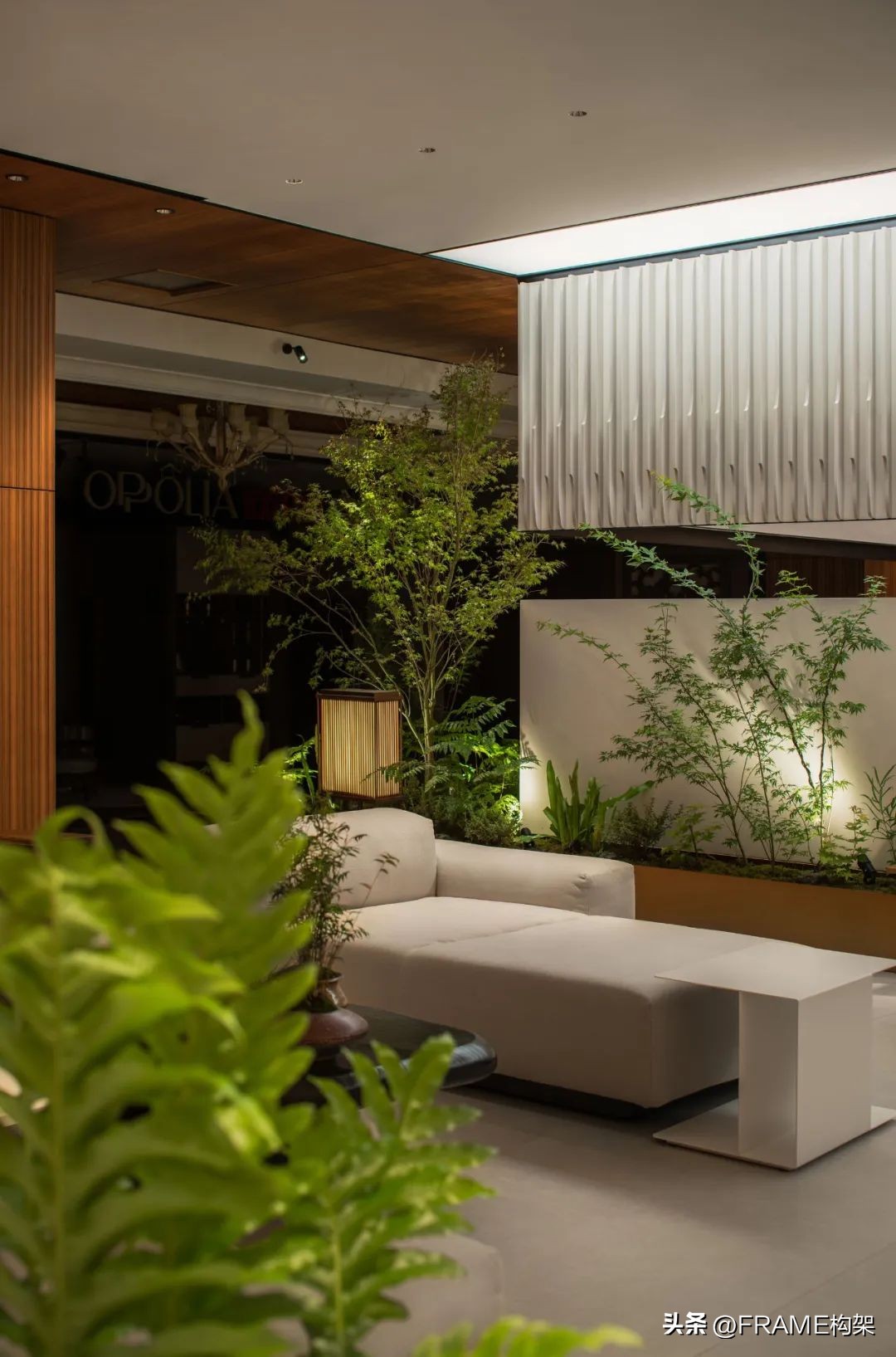 蜂鸟设计效果图,蜂鸟设计馆