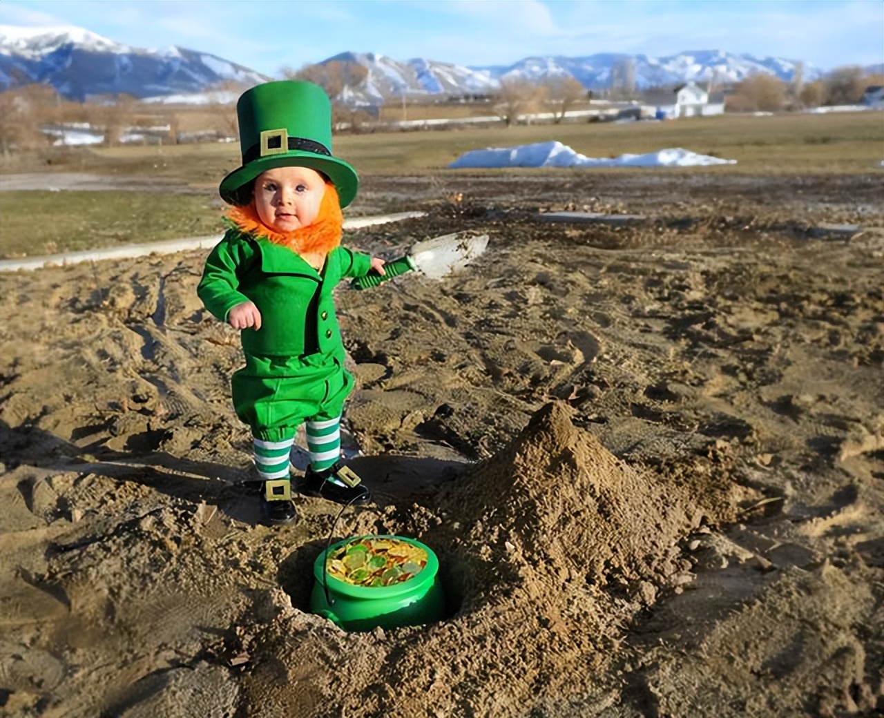 移民爱尔兰冷知识大全,爱尔兰冷知识知多少第二期