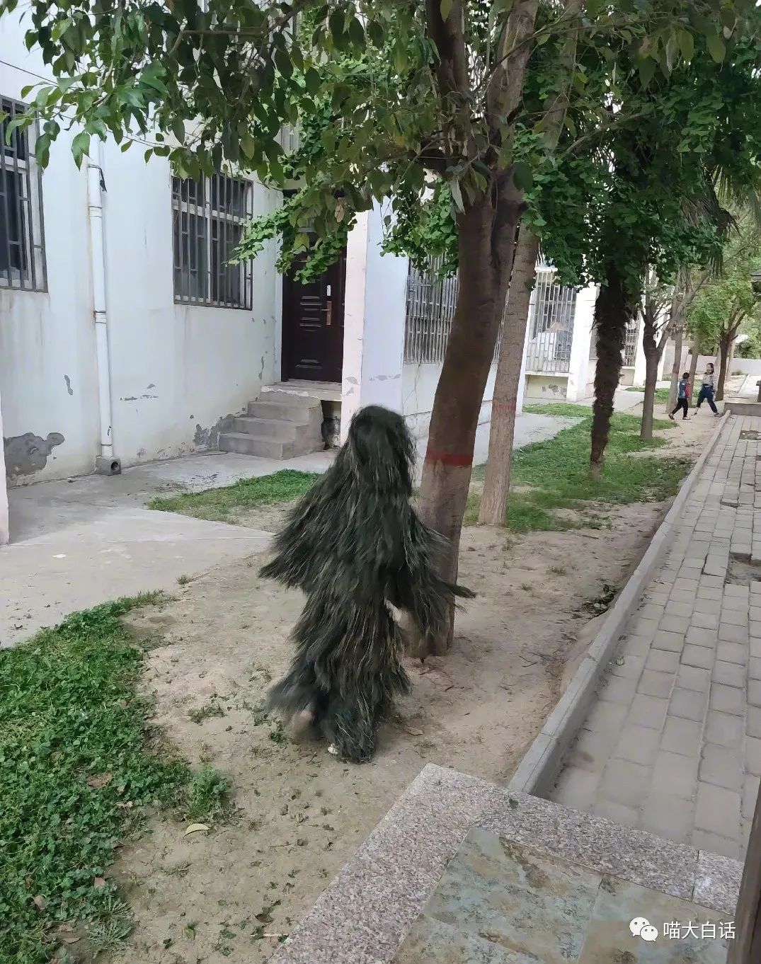 母亲节送妈妈什么礼物比较实用,母亲节送啥礼物给妈妈呢搞笑