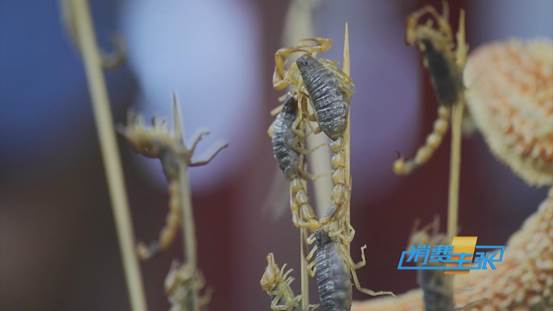 财经频道2019.2.1消费主张,6月14日中央财经频道cctv2消费主张