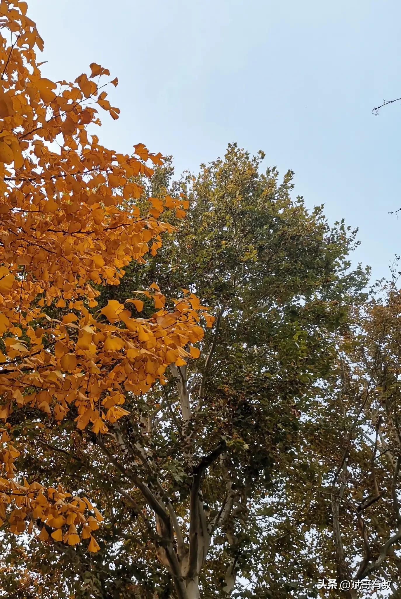 学科素养与能力提升数学的知识点,学科素养与能力提升数学下册六年级