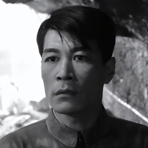 关于革命的小说红日简介,长篇小说红日沈振新的原型是谁