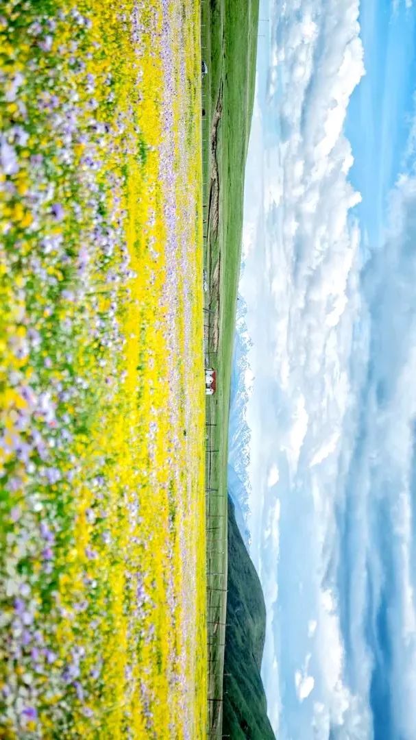 川西阿坝旅游详细攻略地图,川西阿坝旅游攻略三天