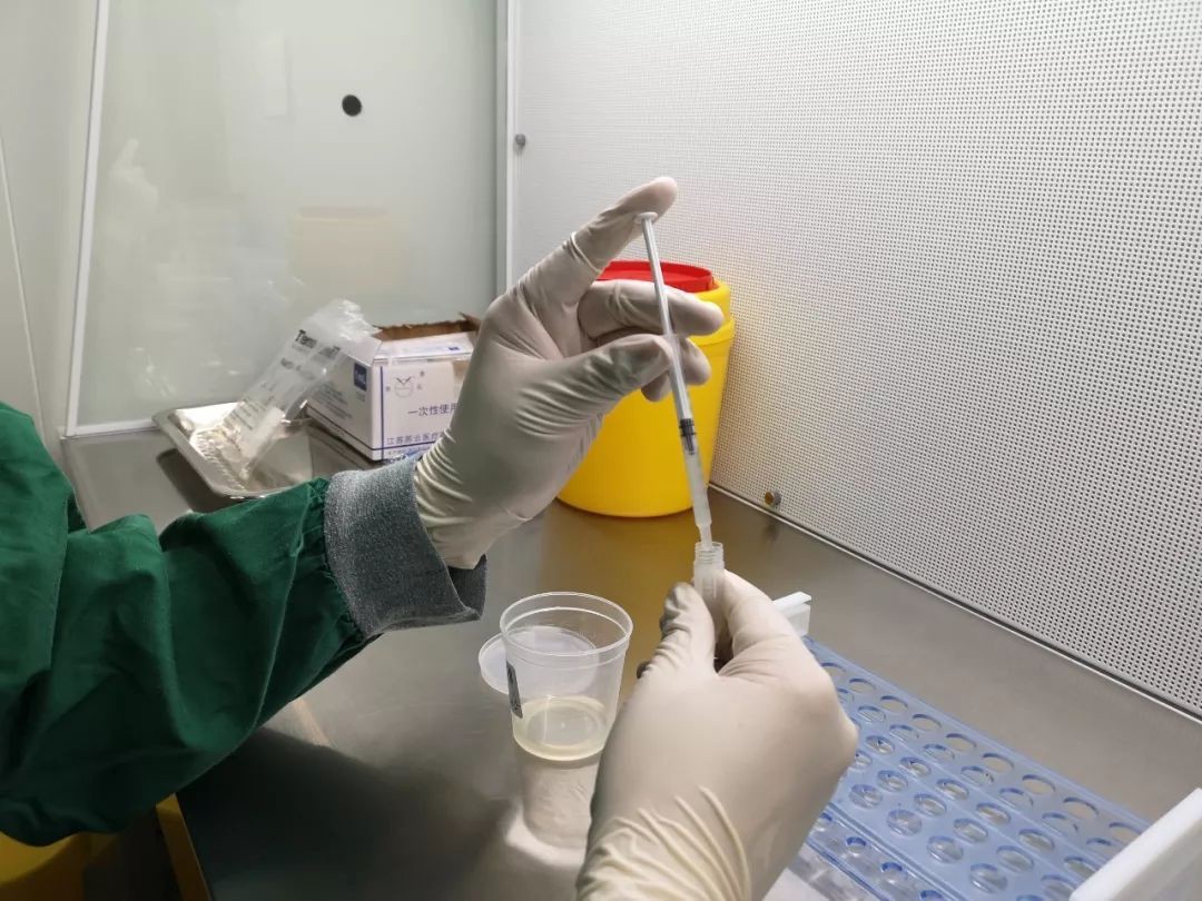 医学博士猝死抢救,博士11天捐5次精子死亡最后判决