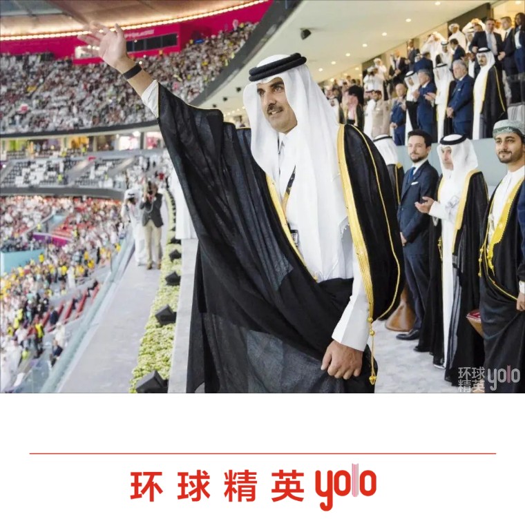 卡塔尔新任埃米尔塔米姆,卡塔尔埃米尔塔米姆资料