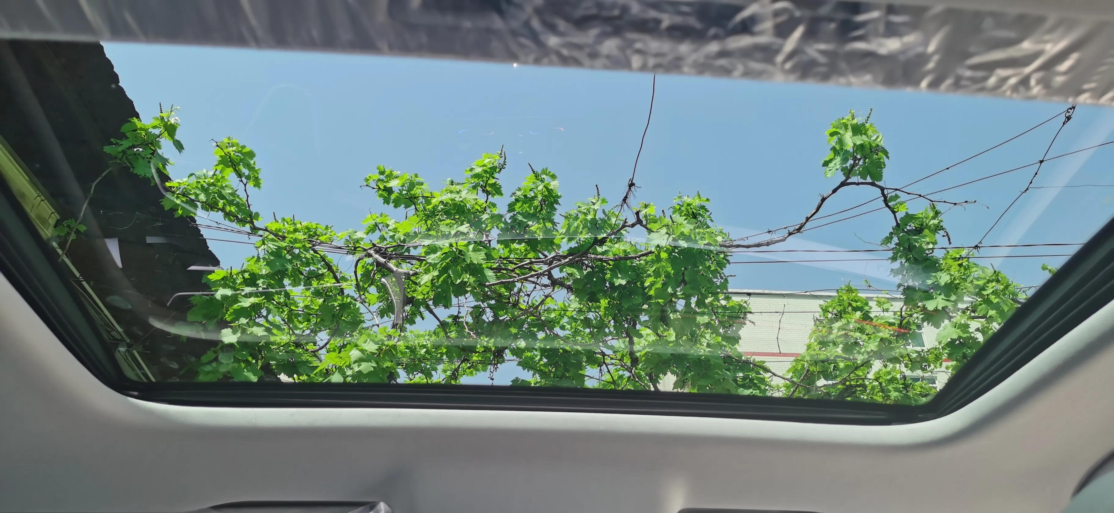 朗逸2023款280tsi星空永逸版,朗逸280tsidsg