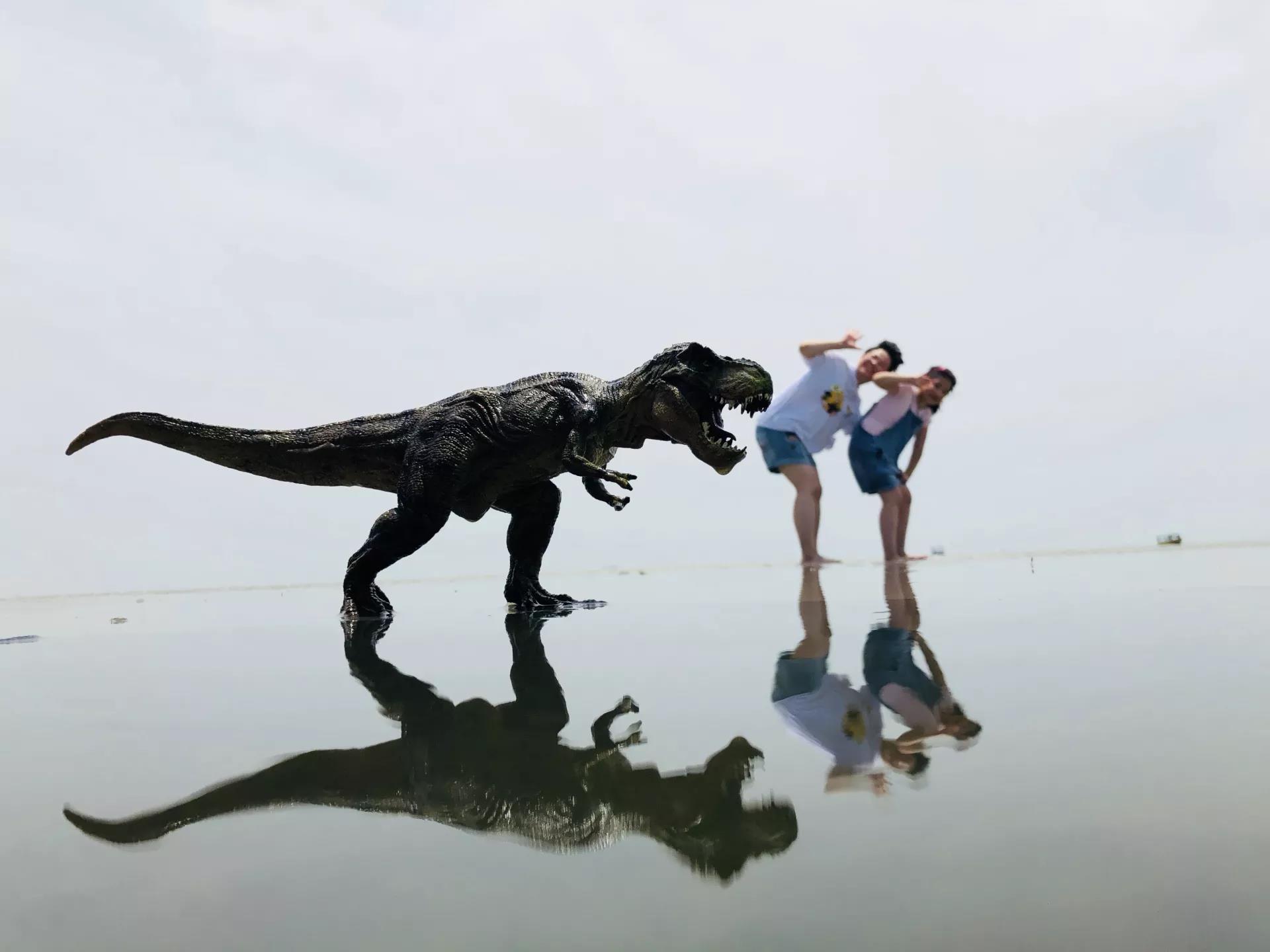 钱猫猫王者荣耀,钱猫猫的视频