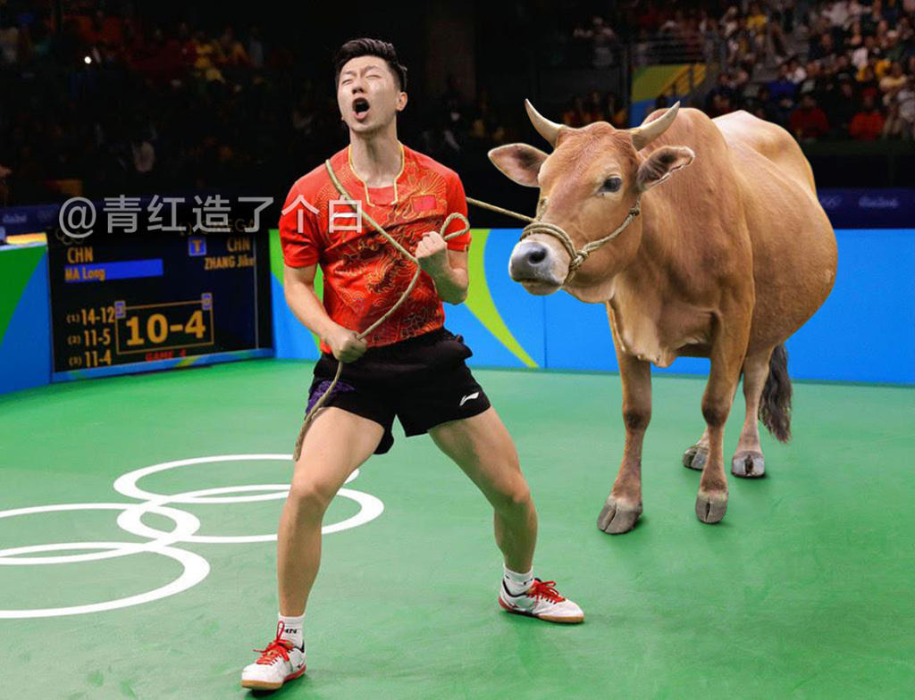 国乒绰号的由来:獒龙蟒、大小胖、大头、小枣、林妹妹…