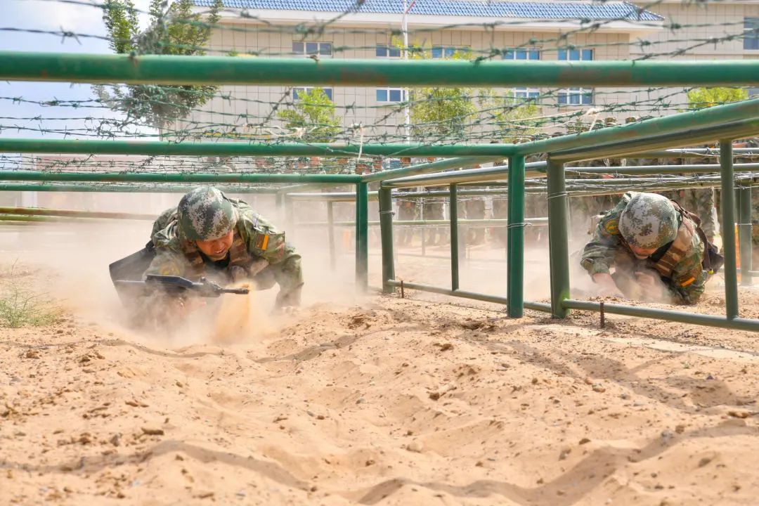 夜读文章800字,夜读的散文