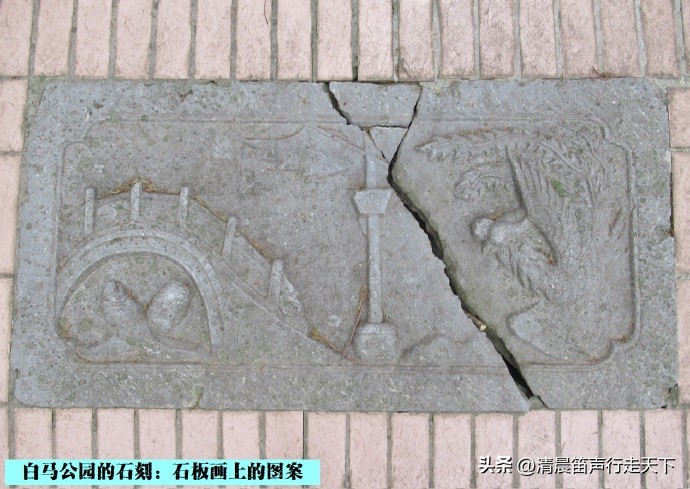 白马公园白马石刻朝代,公园石刻精品欣赏