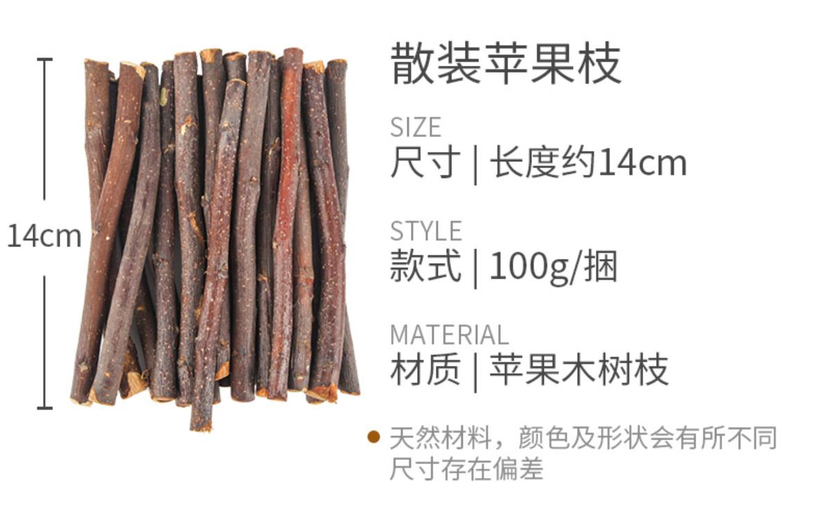 养超可爱的龙猫宝宝,适合新手养的宠物龙猫