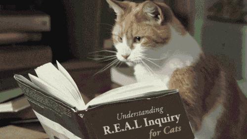 猫咪食欲不振呕吐流眼泪总睡觉,猫咪口臭流口水精神萎靡不吃不喝