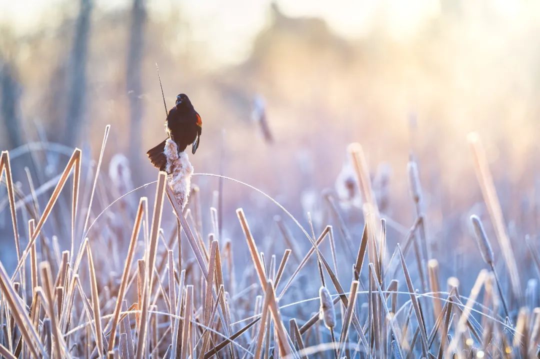 教师如何高效使用任务清单,教师走心的期末个人工作总结