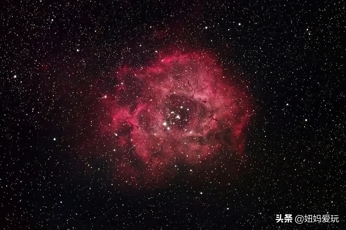 这几部口碑爆棚的宝藏纪录片,国庆孩子必看的8部神级纪录片