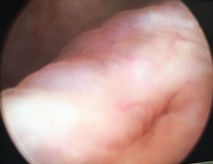 明知山有虎偏向虎山行神评论,明知山有虎偏向虎山行打一生肖