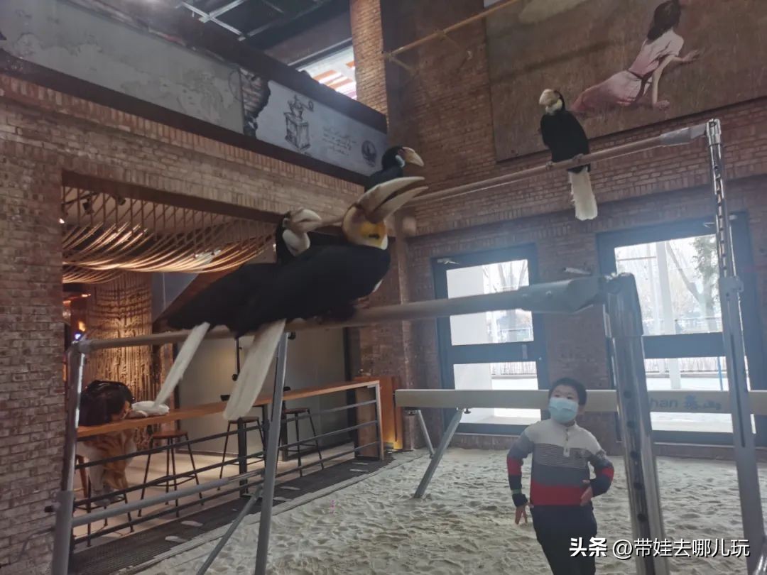 一天玩遍北京野生动物园,包场去鸟巢
